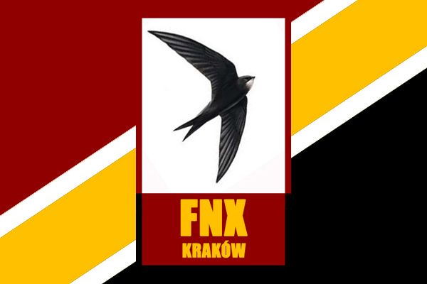 File:Fnxflag08.jpg