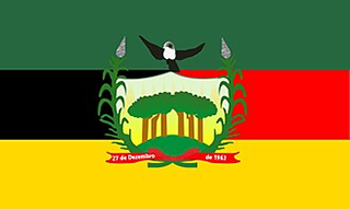 File:Bandeira de Caaporã.png