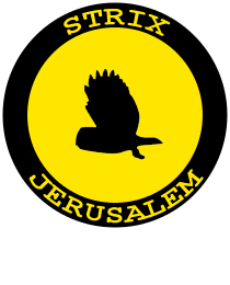 File:Strix jerusalem.jpg