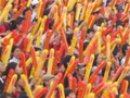 Thumbnail for version as of 04:53, 4 September 2009