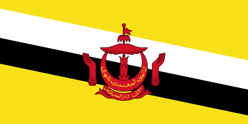 File:Flag of Brunei.PNG