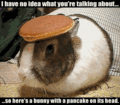 Thumbnail for version as of 19:51, 28 July 2008