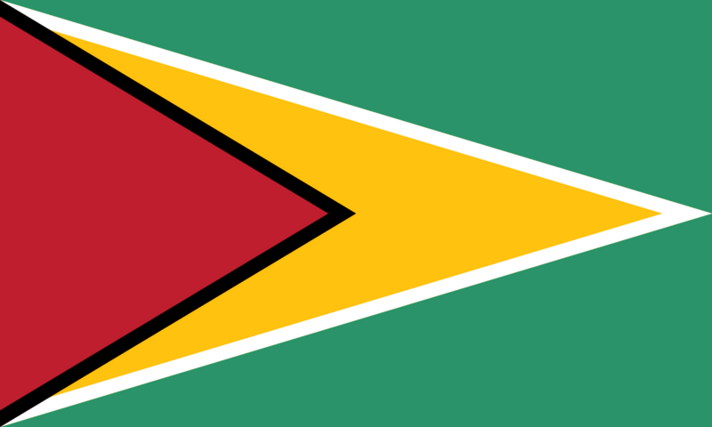File:Flag of Guyana.png