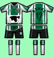 Thumbnail for version as of 14:38, 2 May 2011