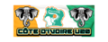 Thumbnail for version as of 16:12, 5 February 2020