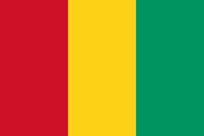 File:GuinéeFlag.png