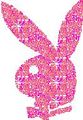 Thumbnail for version as of 22:42, 17 December 2008