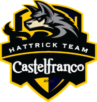 Official badge